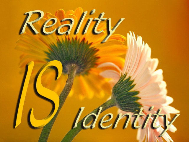 Reality is Identity